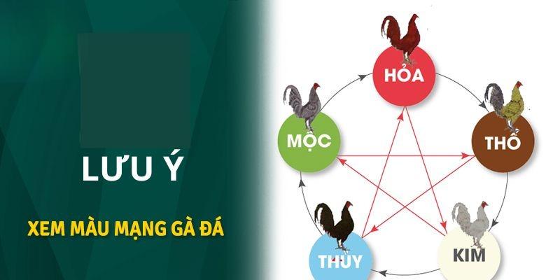 Xem màu mạng gà đá có thực sự quan trọng?