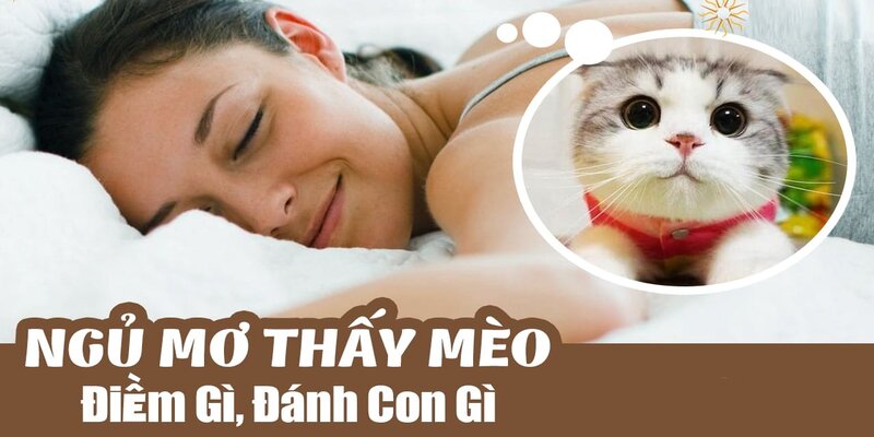 Giải mã giấc mơ thấy mèo và các con số