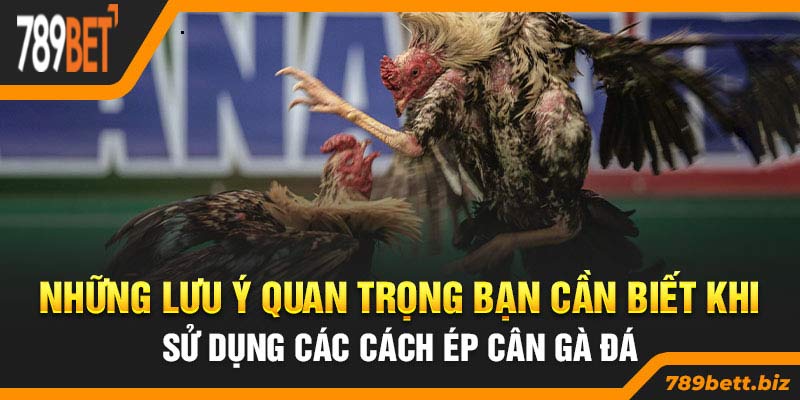 Những lưu ý quan trọng bạn cần biết khi sử dụng các cách ép cân gà đá