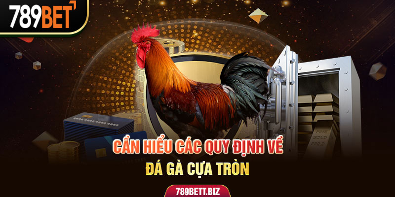 Chơi Đá Gà Cực Tròn Và Những Điều Thú Vị Nên Tìm Hiểu