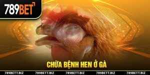 Chữa Bệnh Hen Ở Gà: Phương Pháp Điều Trị Dứt Điểm