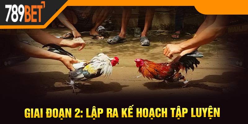 Giai đoạn 2: Lập ra kế hoạch tập luyện