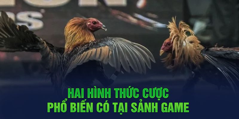 Hai hình thức cược phổ biến có tại sảnh game 