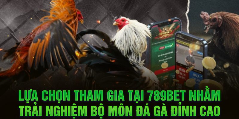 Lựa chọn tham gia tại 789BET nhằm trải nghiệm bộ môn đá gà đỉnh cao 