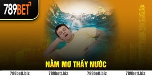 Nằm Mơ Thấy Nước Có Điềm Báo Như Thế Nào? Lành Hay Gở?