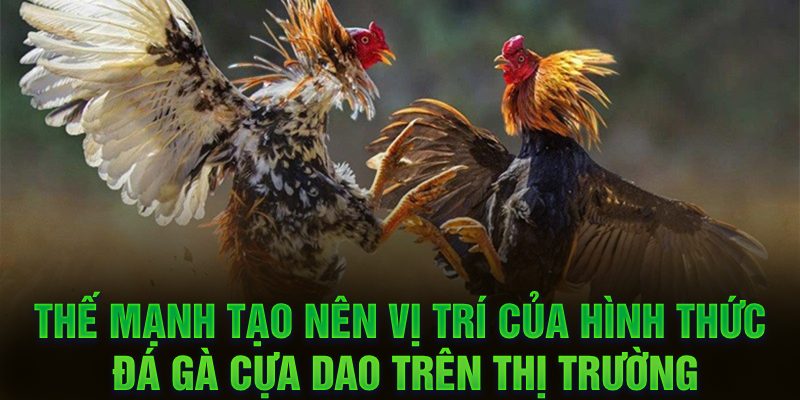 Thế mạnh tạo nên vị trí của hình thức đá gà cựa dao trên thị trường 