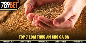 Top 7 Loại Thức Ăn Cho Gà Đá Đảm Bảo Dinh Dưỡng Đủ Đầy