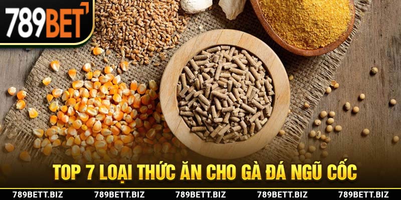 Top 7 loại thức ăn cho gà đá - ngũ cốc