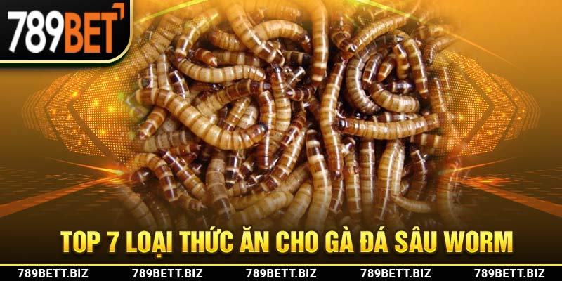 Top 7 loại thức ăn cho gà đá sâu Worm