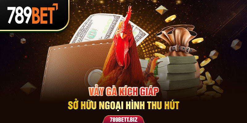 Vảy gà kích giáp sở hữu ngoại hình thu hút