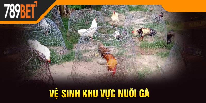 Vệ sinh khu vực nuôi gà